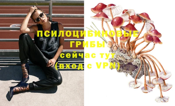 мяу мяу кристалл Алзамай