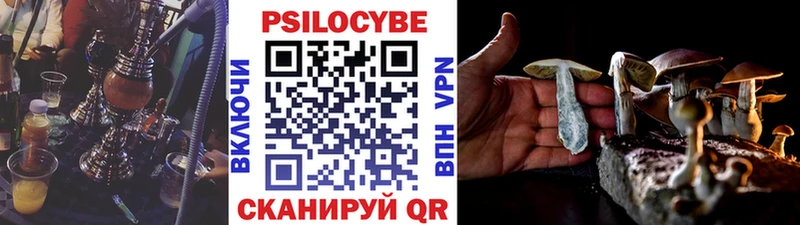 дарнет шоп  Андреаполь  Галлюциногенные грибы Magic Shrooms 